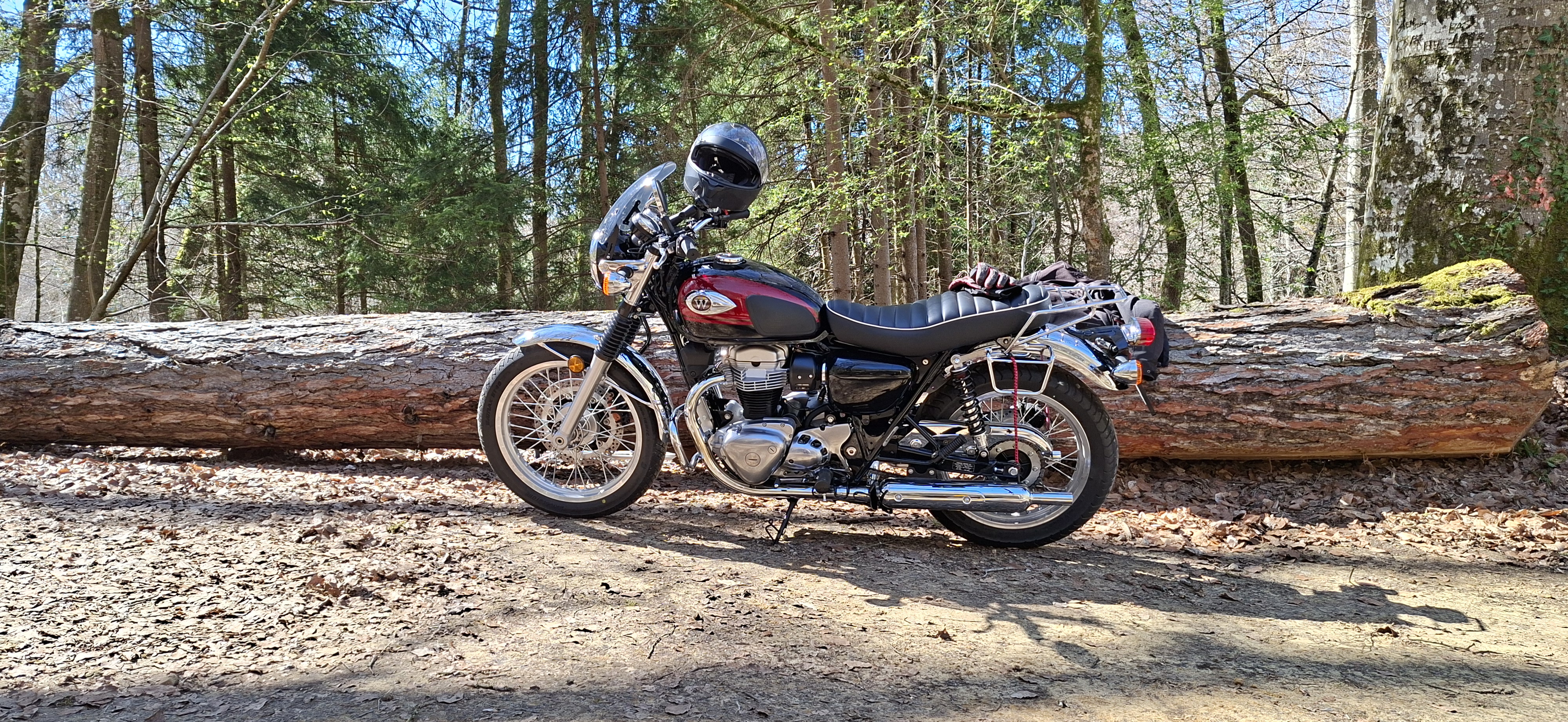 2024 Kawasaki  W800